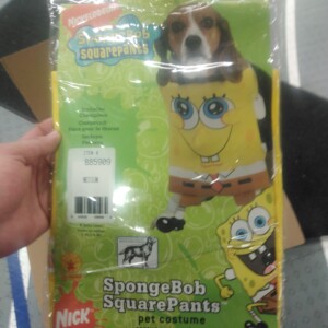 SpongeBob SquarePants Pet Costume-Medium