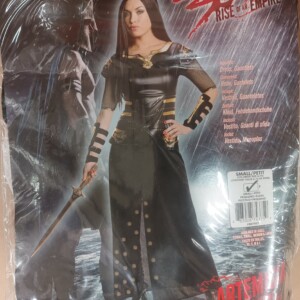 Artemisia Adult Costume Small