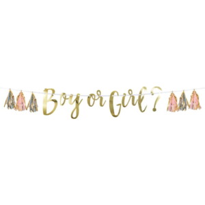 Boy Or Girl Tassel Banner